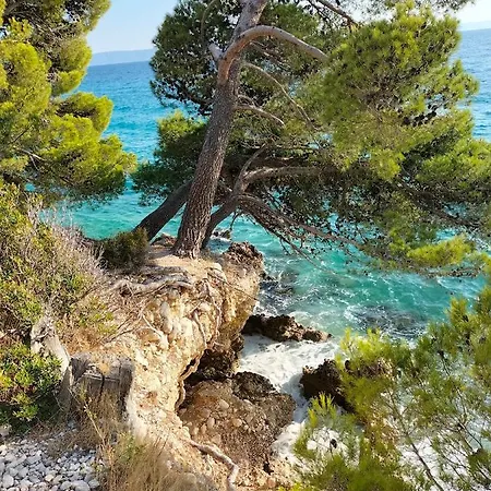 Appartement Studie-apartment In Makarska, Kroatien *