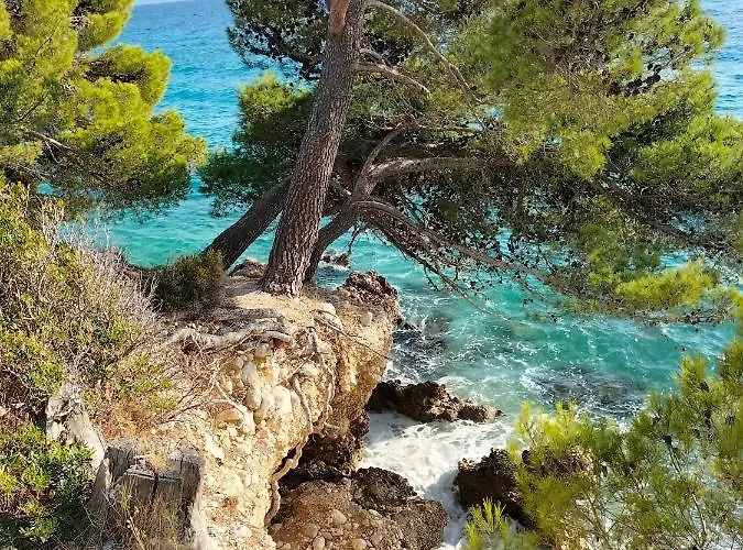 Apartmán Studie-apartment In Makarska, Kroatien *